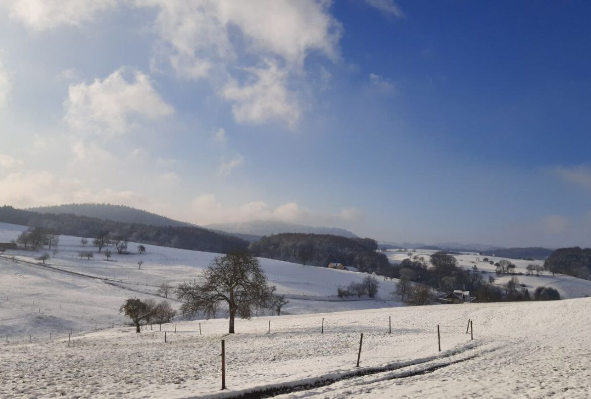 WIllkommen im Jahr 2026