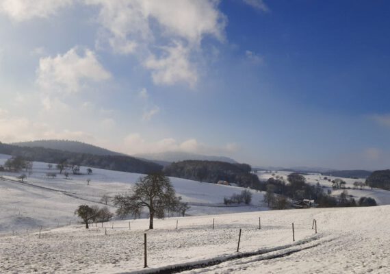 WIllkommen im Jahr 2026